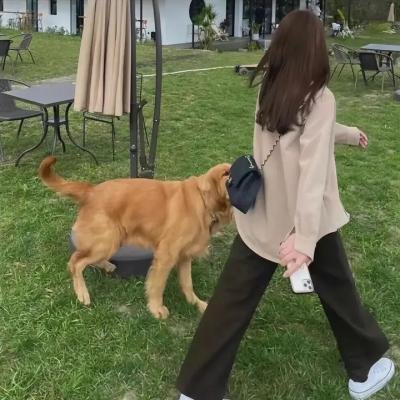 万界主宰